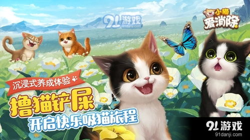 小猫破解版攻略游戏