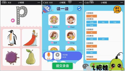 游戏中观察要点有哪些