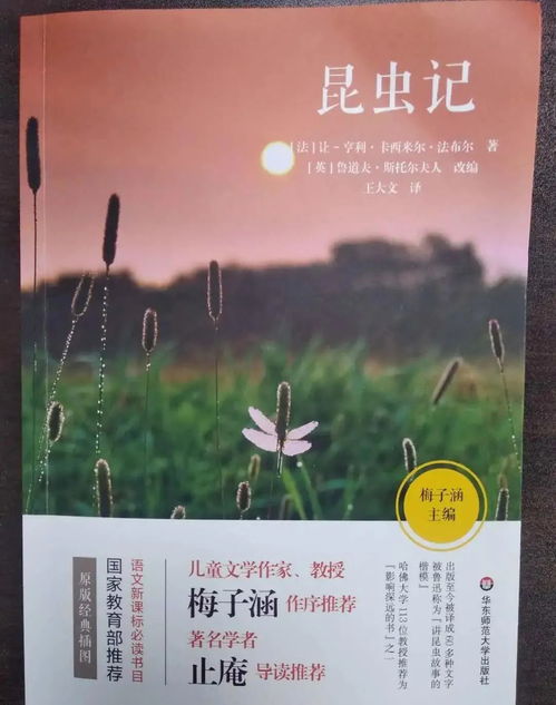 樱花草看广告赚钱