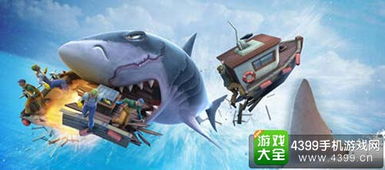 看直播抢鲨鱼攻略游戏