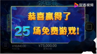 国内减肥电子游戏有哪些