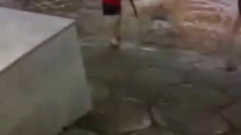 女尸解剖游戏网站有哪些