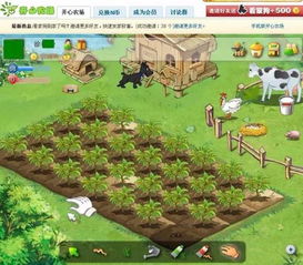 社交游戏个训有哪些