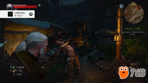 巫师3真人版游戏攻略