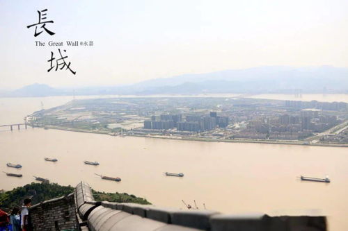 养羊赚钱还不用看广告