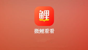 刷视频看广告能赚钱吗