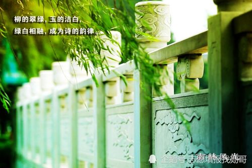 李宇春第一时间取消连续包月