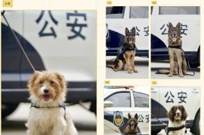 00后无手女孩怀孕遭恶评 丈夫回应