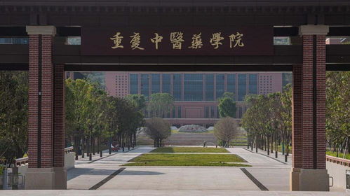 教育部设32所新大学