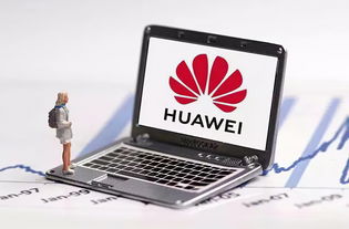 华为笔记本电脑怎么都是linux系统(探索华为笔记本的另一面，Linux操作系统体验)