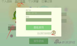 怎么在电脑上登录华为账号的手游(解锁华为游戏世界，你的专属数字钥匙)