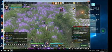 率土之滨华为端游怎么在电脑上玩(开启沉浸式游戏体验，率土之滨华为端游如何在电脑上畅玩游戏)