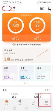 华为的手环怎么以oppo连接电脑(如何将华为手环连接到你的电脑，让你的健康数据在Oppo系统中畅行无阻)