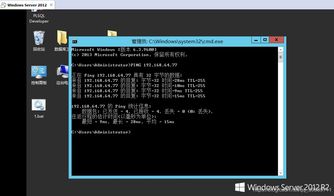 华为模拟器电脑怎么使用telnet命令(揭秘华为模拟器背后的秘密—如何通过Telnet轻松管理你的设备)