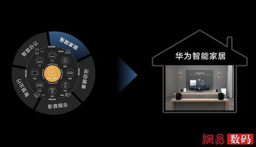 电脑偶尔闪屏怎么办华为(维护你的设备，解决偶尔闪屏的策略)