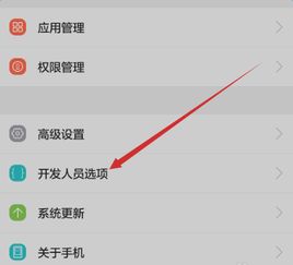 华为p10电脑怎么连usb(如何通过USB将华为P10手机连接到PC)