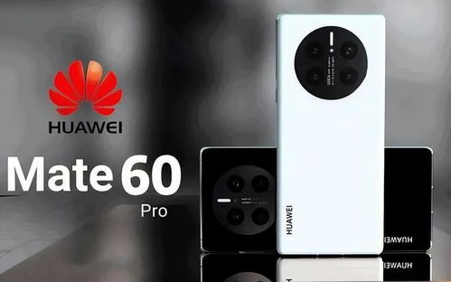 华为电脑验机代码怎么看(揭秘华为Mate50 Pro，体验顶级旗舰性能的科技盛宴)