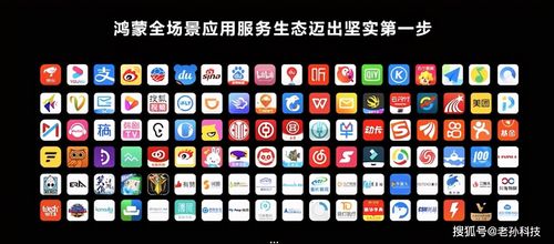 华为海雀怎么在电脑上看(当然可以！让我们一起看看如何使用华为海雀手机在电脑上进行阅读和写作。