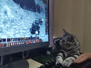 华为显示屏电脑白色怎么调(华为显示器，让视觉享受成为生活常态)