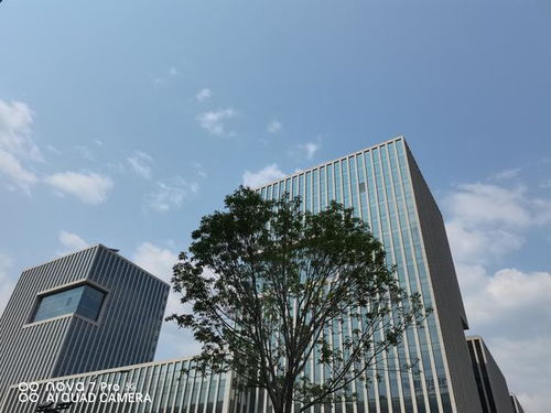 华为电脑怎么退回桌面上(轻松搞定！华为电脑桌面管理的秘诀)