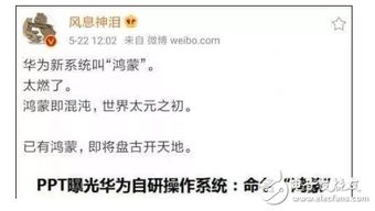 华为电脑网页怎么打不开(探索华为电脑的神秘面纱—如何快速解决网页打不开的问题)