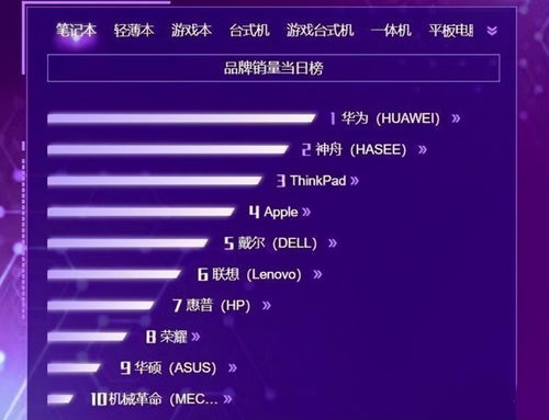 华为电脑国内份额怎么看(华为电脑，引领创新，智享未来)