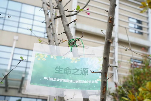 苗木经营部起名怎么起名