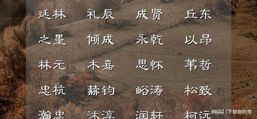起名诗词集锦怎么起名的