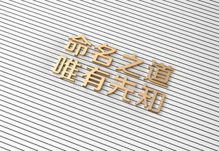 品牌搞笑起名怎么起名好听