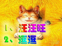 灰字宠物起名怎么起名的