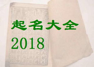 给动物起名姓杨怎么起名