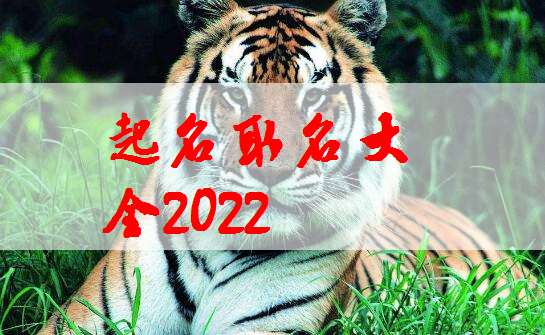 虎宝宝起名姓姜怎么起名