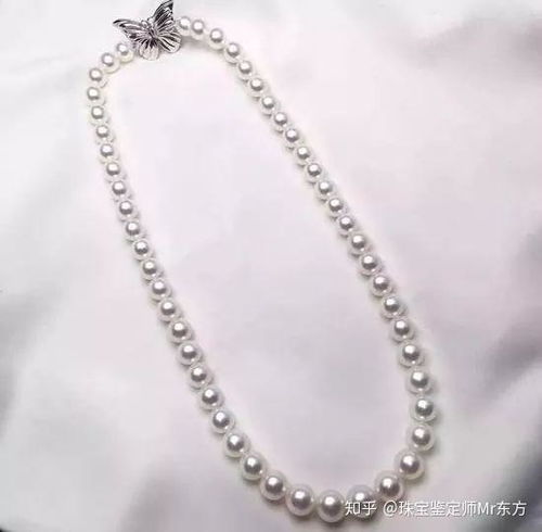 珍珠衣服起名怎么起名好听