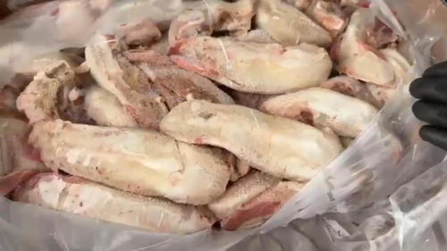 冻品肉类起名怎么起名的