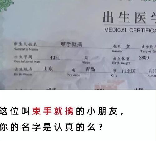 医美老师起名怎么起名的
