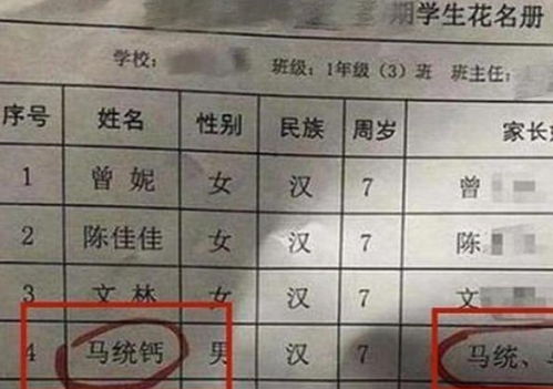 班委怎么起名