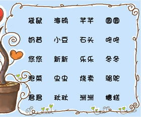 怎么起名高端 怎么起名高端