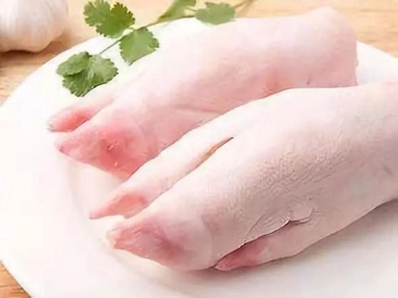猪脚怎么起名