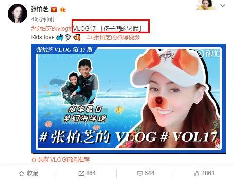 vlog怎么起名