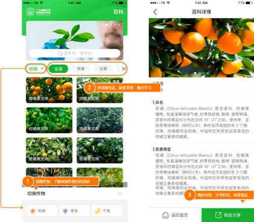 种地怎么起名
