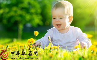 舒心怎么起名