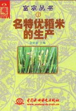 稻米怎么起名