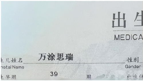 思怎么起名