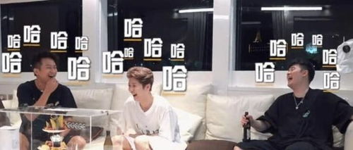 综艺怎么起名