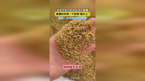 药材怎么起名
