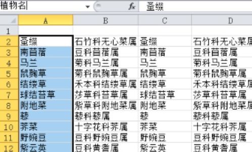 fls怎么起名
