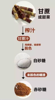 红糖怎么起名