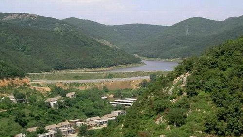 渔池怎么起名