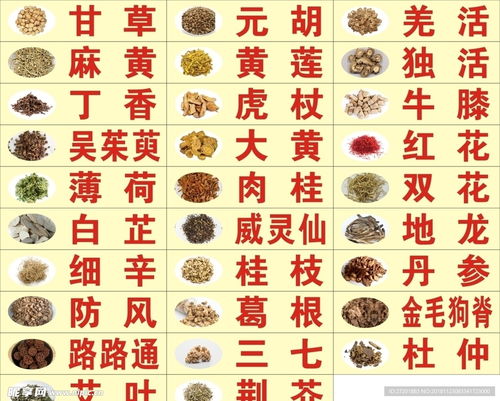 药怎么起名