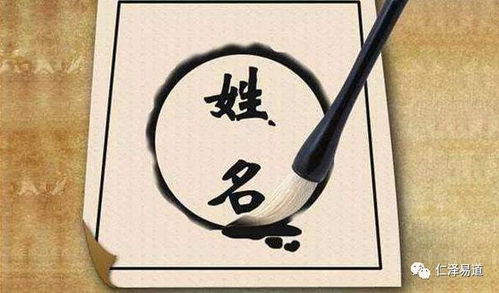 舍怎么起名
